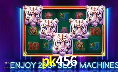 Descubra o Mundo do Cassino Online com pk456